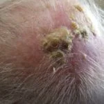 302__protectwyjqcm90zwn0il0_focusfillwzi5ncwymjisingildfd-6228086-8912660-jpg-1121257