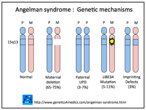 Genética del síndrome de Angelman