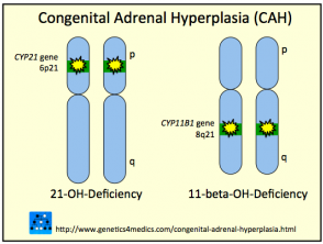 Hiperplasia suprarrenal congénita CAH