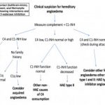 hereditary-angioedema-figure-1__protectwyjqcm90zwn0il0_focusfillwzi5ncwymjisingildbd-8414646-1321791-jpg-1891643