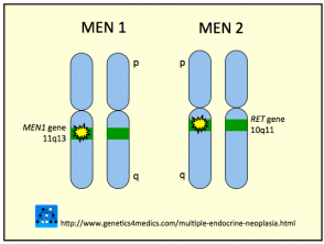 Neoplasia endocrina múltiple MEN