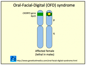 Oral Facial Digital