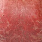 litteken-001__protectwyjqcm90zwn0il0_focusfillwzi5ncwymjisinkildg1xq-2729505-5075661-jpg-9784839