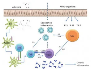 Percorsi aeroallergenici