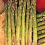 Spargel1__protectwyjqcm90zwn0il0_focusfillwzi5ncwymjisinkildm2xq-6158868-2804891-jpg-8756946