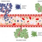 biomarkers-in-bloedstroom__protectwyjqcm90zwn0il0_focusfillwzi5ncwymjisingilduwxq-1661189-9788046-jpg-2107462