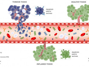 Biomarcadores en el torrente sanguíneo