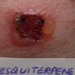 compositae-patch1__protectwyjqcm90zwn0il0_focusfillwzi5ncwymjisingildfd-4336915-7079366-jpg-1746251