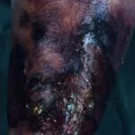 nec-fas1__protectwyjqcm90zwn0il0_focusfillwzi5ncwymjisinkildg1xq-2973380-7451475-jpg-2690019