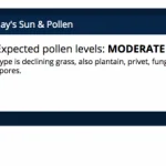 pollen-thumbnail__protectwyjqcm90zwn0il0_focusfillwzi5ncwymjisingildfd-6737576-8962194-png-4196710