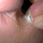 tinped27__protectwyjqcm90zwn0il0_focusfillwzi5ncwymjisingildbd-1777636-2146076-jpg-9703333